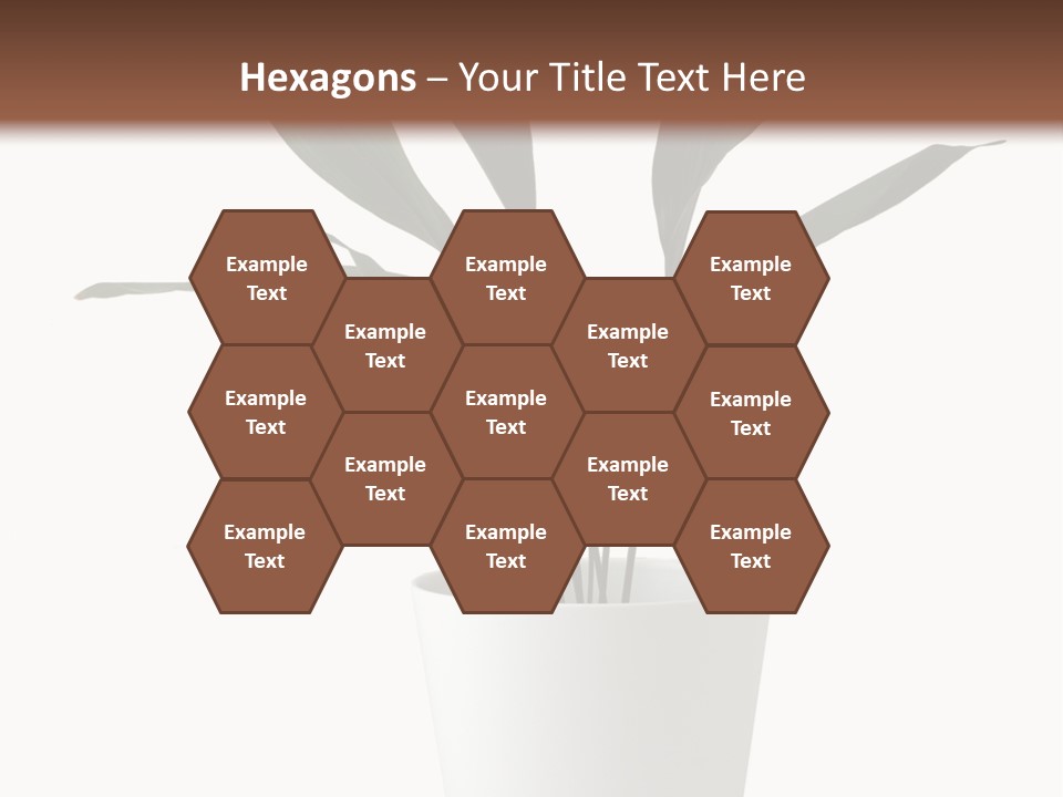 Aspidistra Elatior Aspidistra White PowerPoint Template