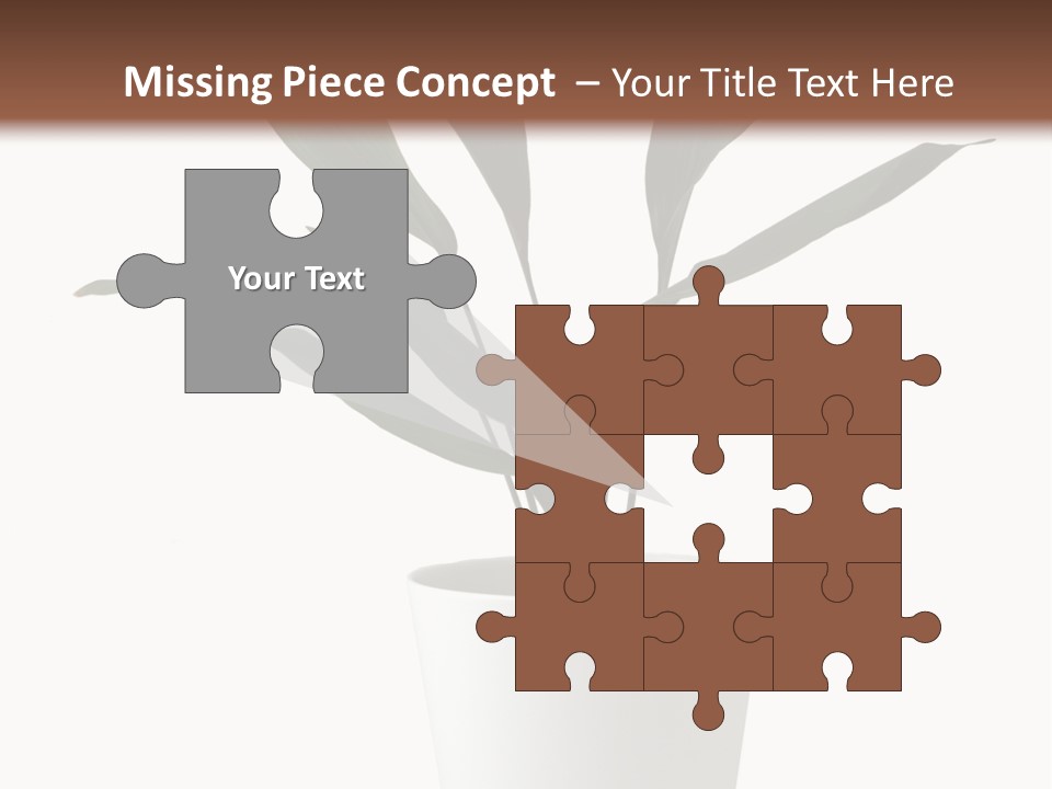 Aspidistra Elatior Aspidistra White PowerPoint Template