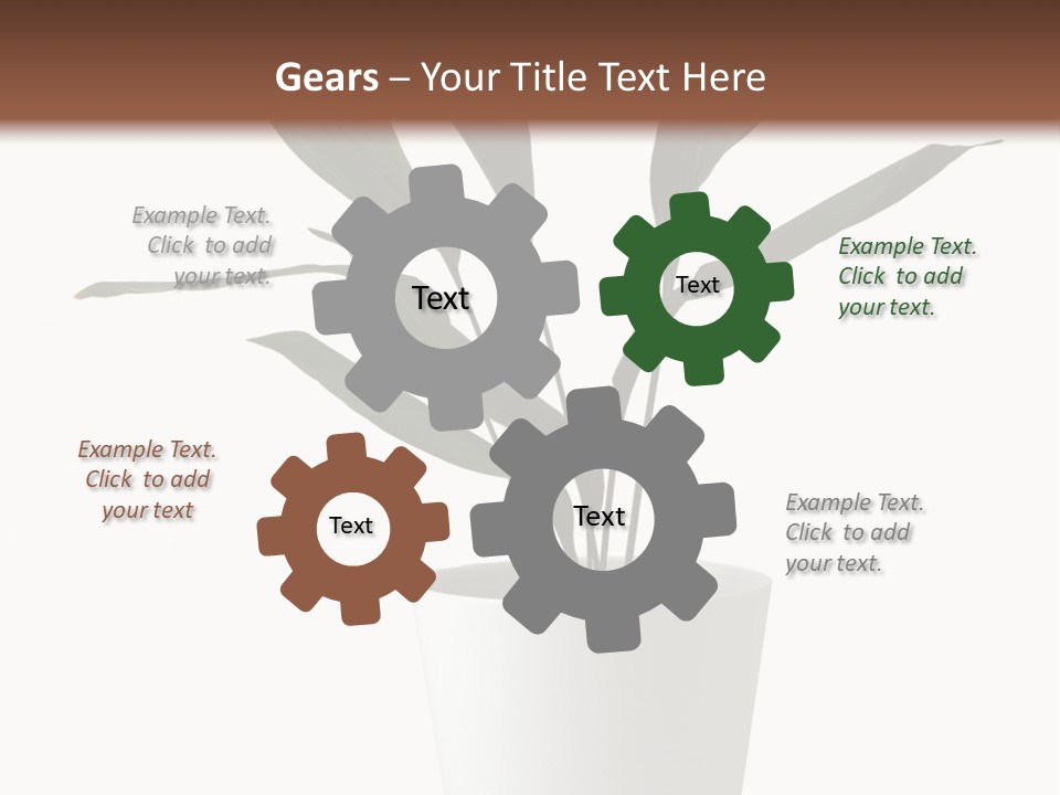 Aspidistra Elatior Aspidistra White PowerPoint Template