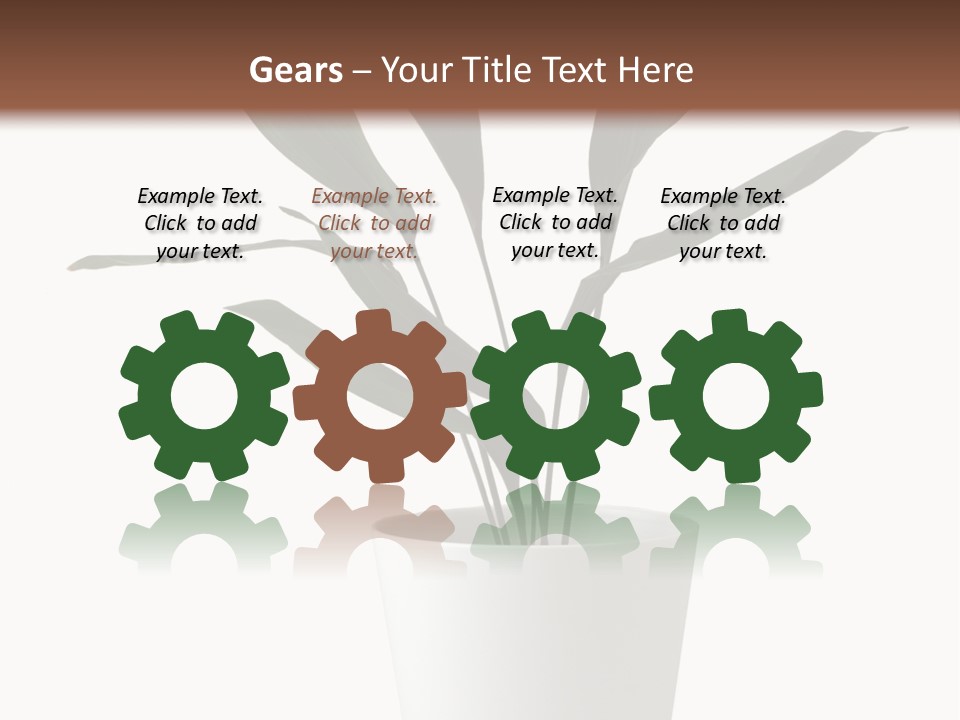 Aspidistra Elatior Aspidistra White PowerPoint Template