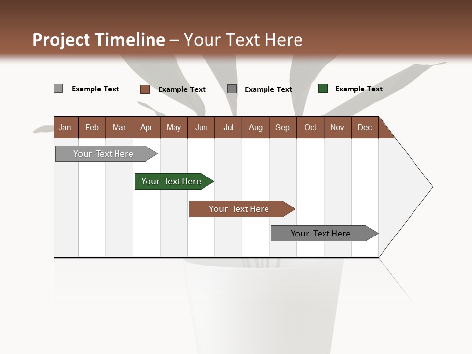 Aspidistra Elatior Aspidistra White PowerPoint Template