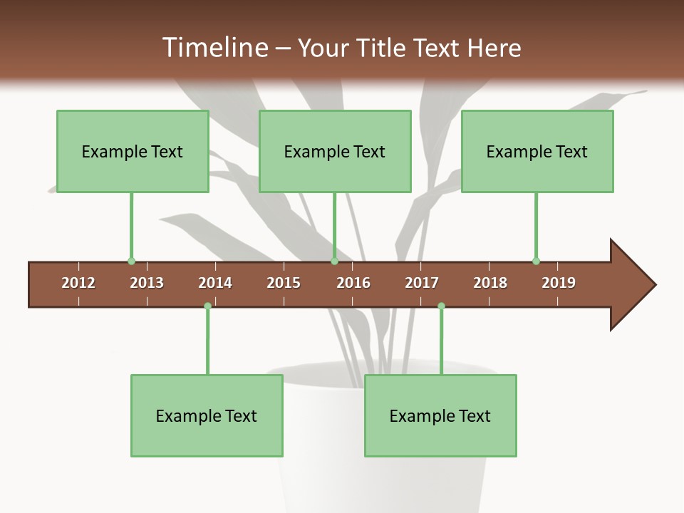 Aspidistra Elatior Aspidistra White PowerPoint Template