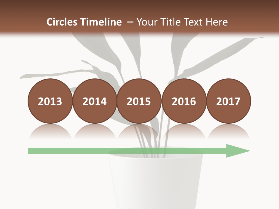 Aspidistra Elatior Aspidistra White PowerPoint Template