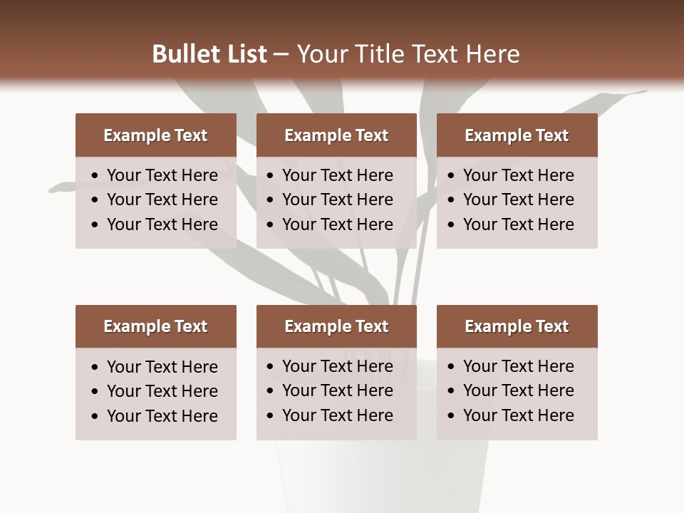 Aspidistra Elatior Aspidistra White PowerPoint Template