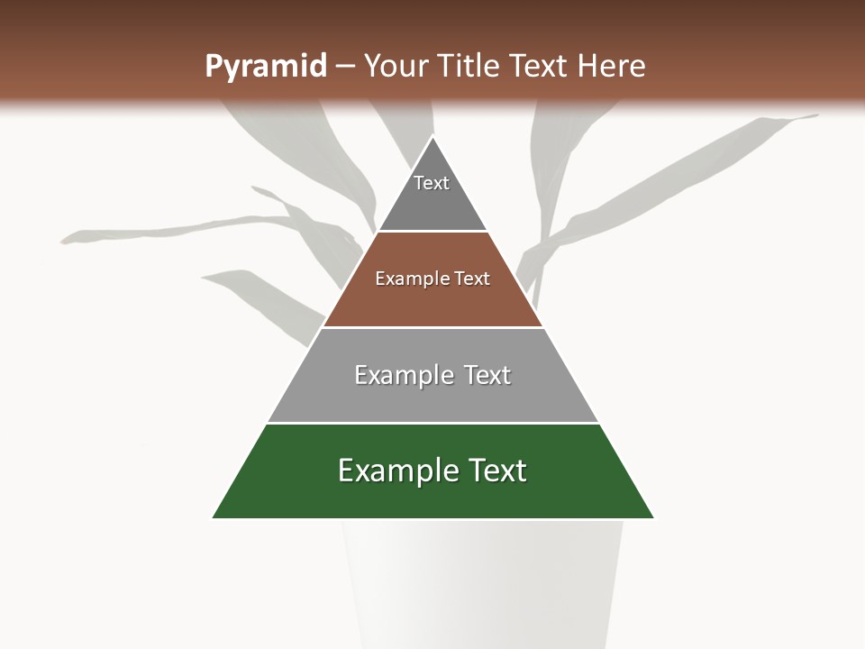 Aspidistra Elatior Aspidistra White PowerPoint Template