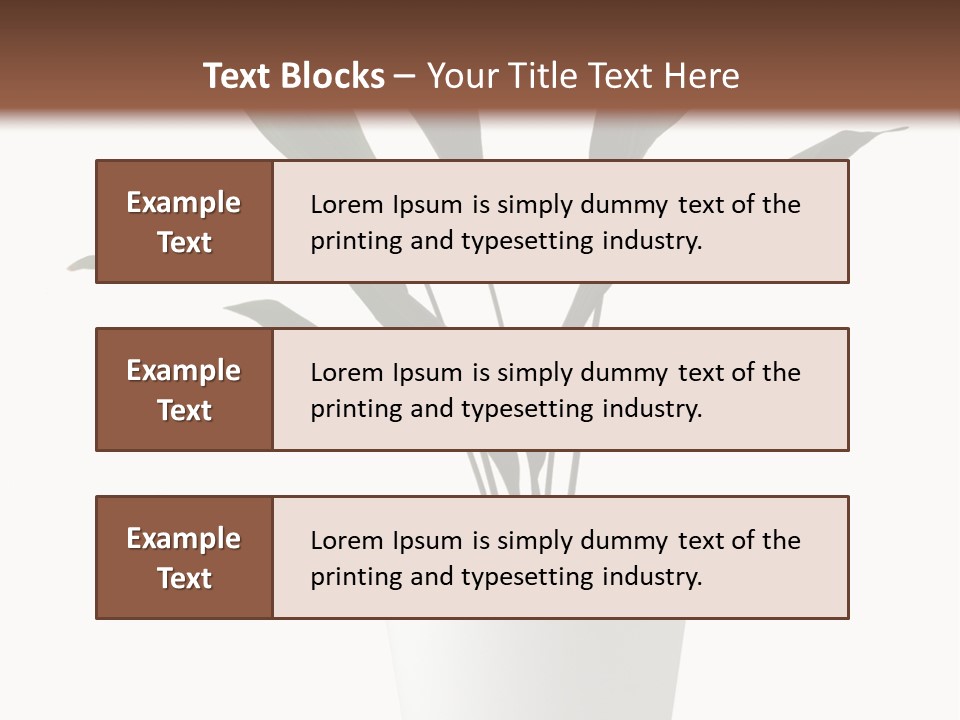 Aspidistra Elatior Aspidistra White PowerPoint Template