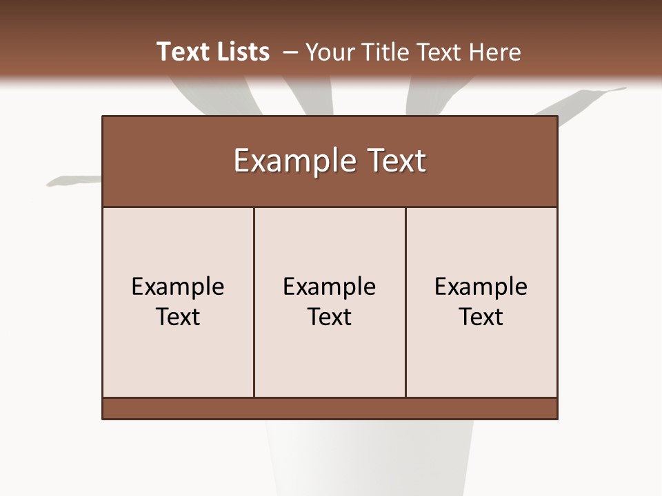 Aspidistra Elatior Aspidistra White PowerPoint Template