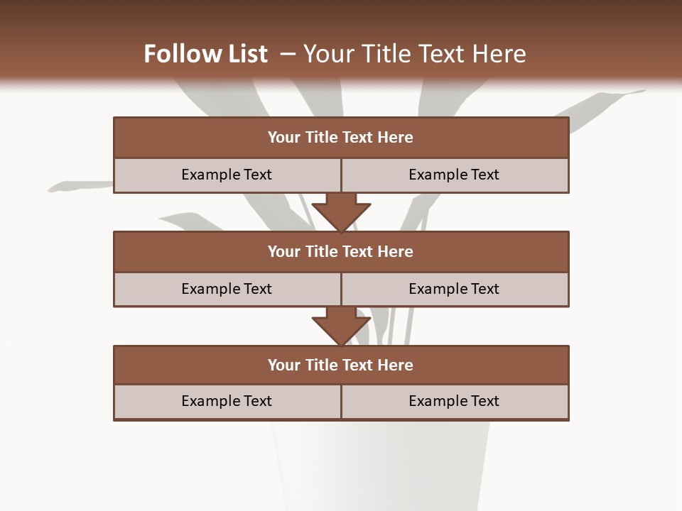 Aspidistra Elatior Aspidistra White PowerPoint Template