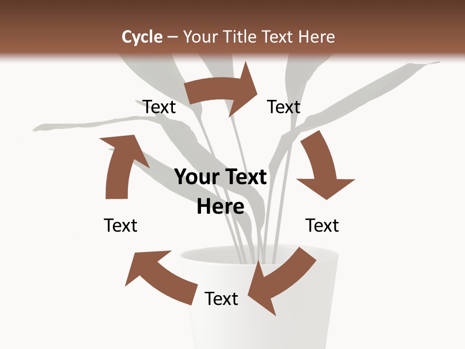 Aspidistra Elatior Aspidistra White PowerPoint Template