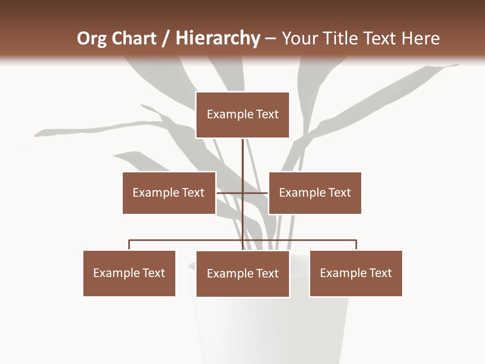 Aspidistra Elatior Aspidistra White PowerPoint Template