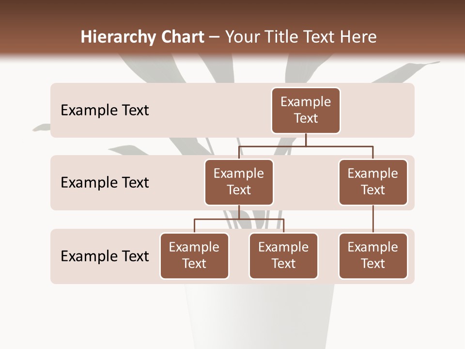 Aspidistra Elatior Aspidistra White PowerPoint Template