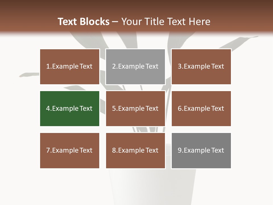 Aspidistra Elatior Aspidistra White PowerPoint Template