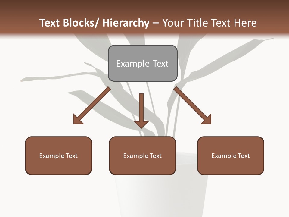 Aspidistra Elatior Aspidistra White PowerPoint Template