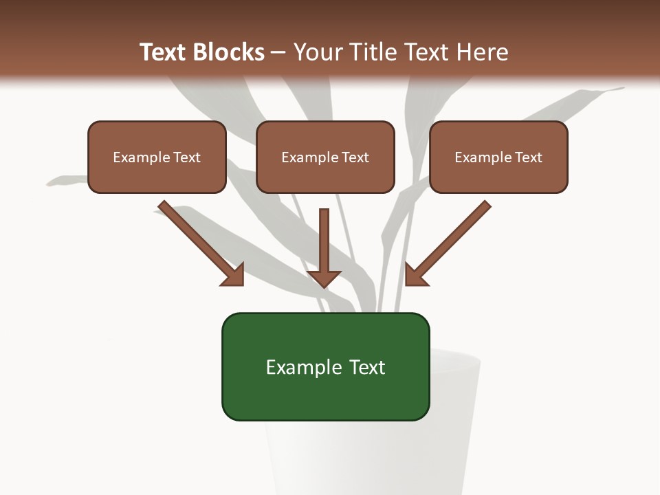 Aspidistra Elatior Aspidistra White PowerPoint Template