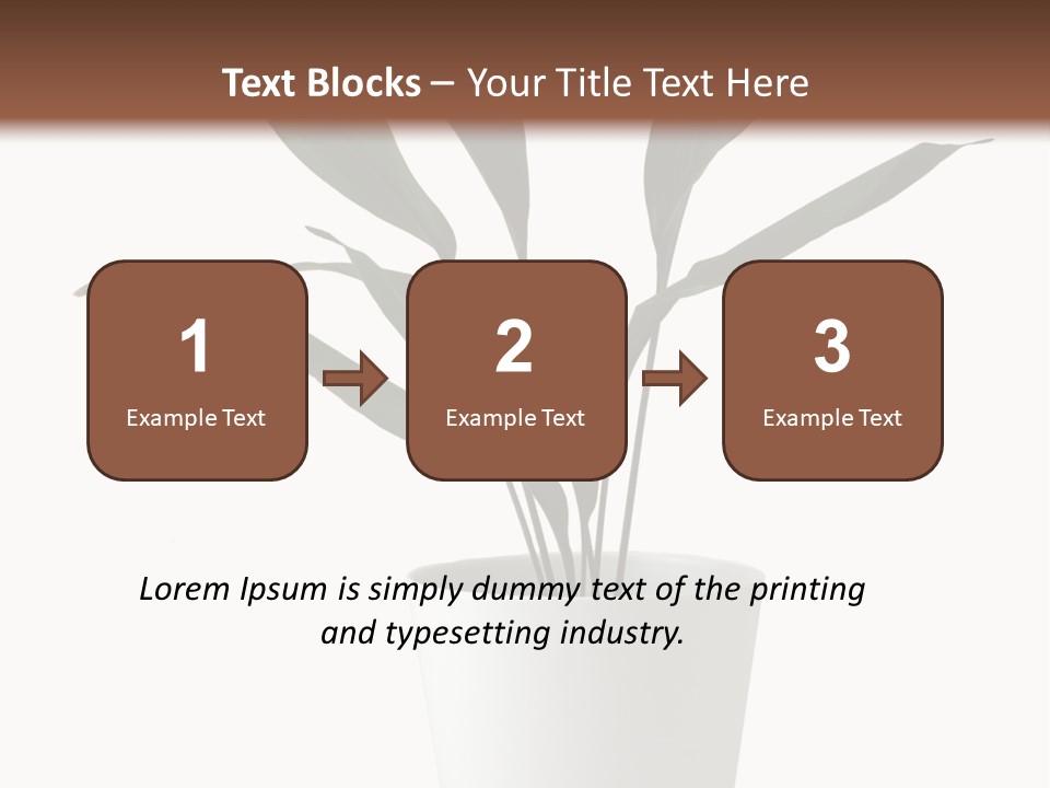 Aspidistra Elatior Aspidistra White PowerPoint Template