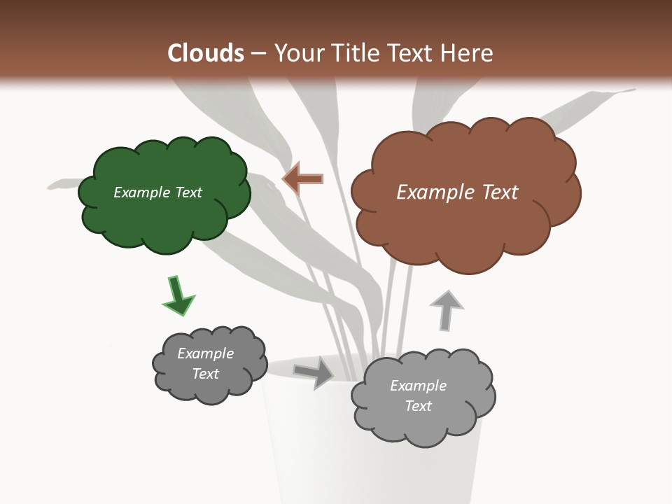 Aspidistra Elatior Aspidistra White PowerPoint Template