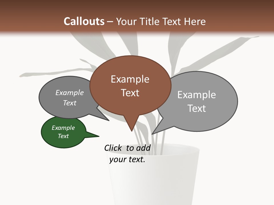 Aspidistra Elatior Aspidistra White PowerPoint Template