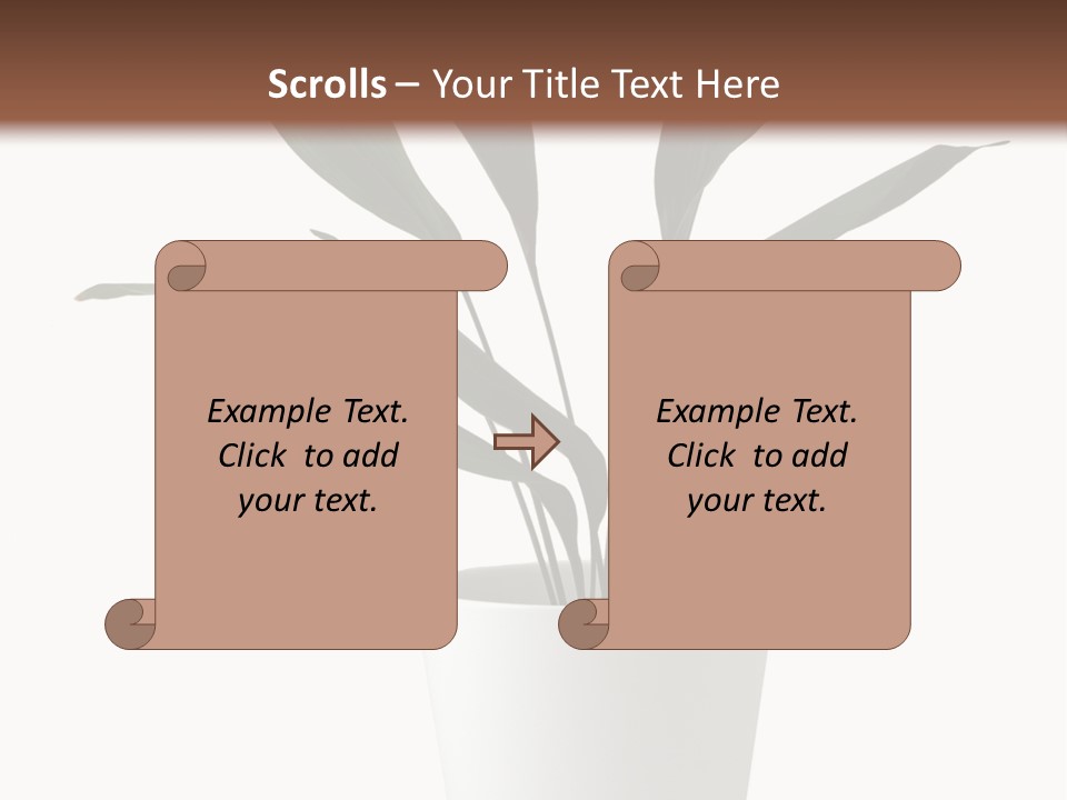 Aspidistra Elatior Aspidistra White PowerPoint Template