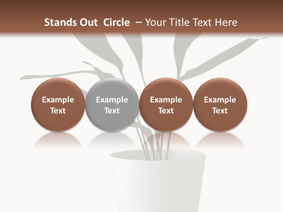 Aspidistra Elatior Aspidistra White PowerPoint Template