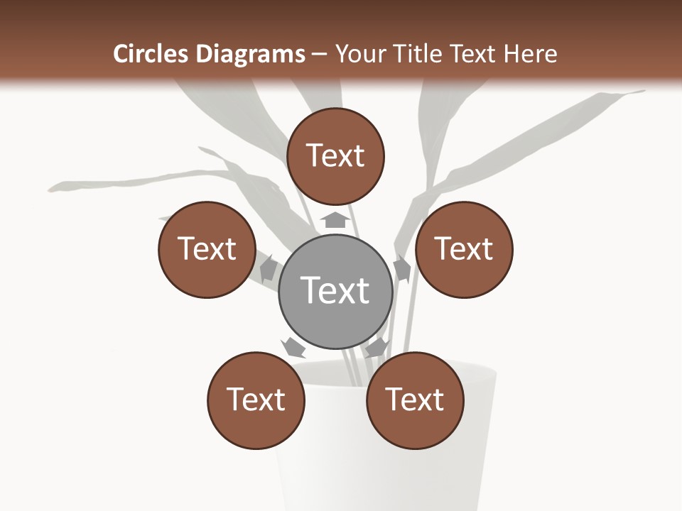 Aspidistra Elatior Aspidistra White PowerPoint Template