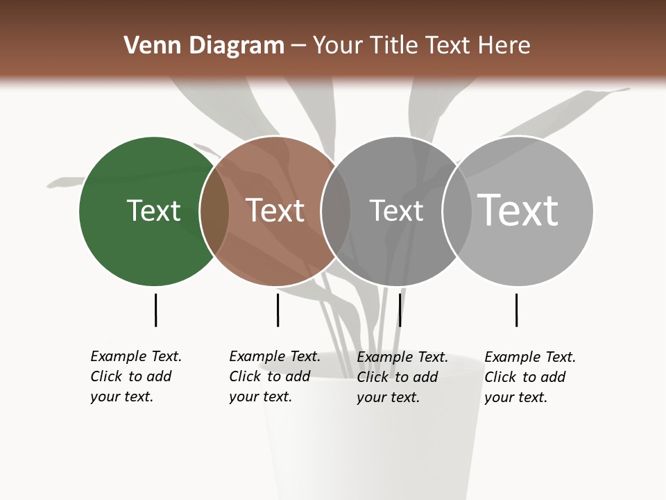 Aspidistra Elatior Aspidistra White PowerPoint Template