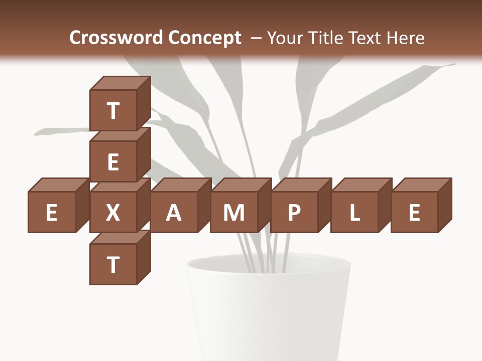 Aspidistra Elatior Aspidistra White PowerPoint Template