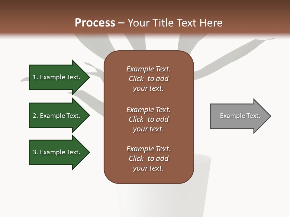 Aspidistra Elatior Aspidistra White PowerPoint Template