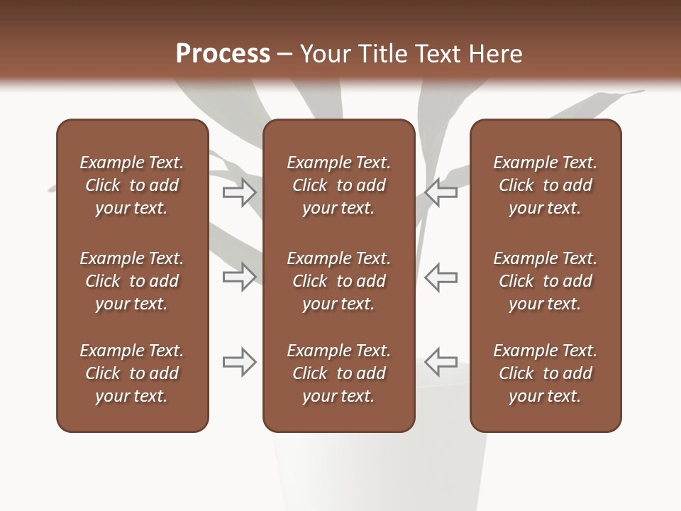 Aspidistra Elatior Aspidistra White PowerPoint Template