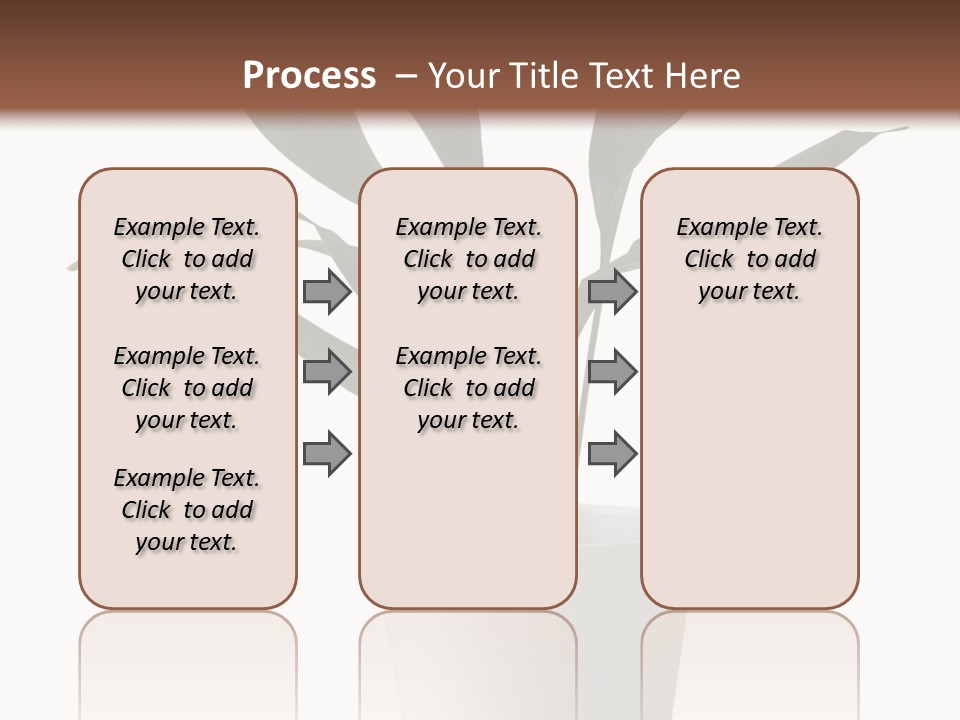 Aspidistra Elatior Aspidistra White PowerPoint Template