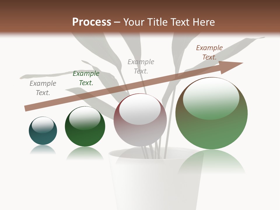 Aspidistra Elatior Aspidistra White PowerPoint Template