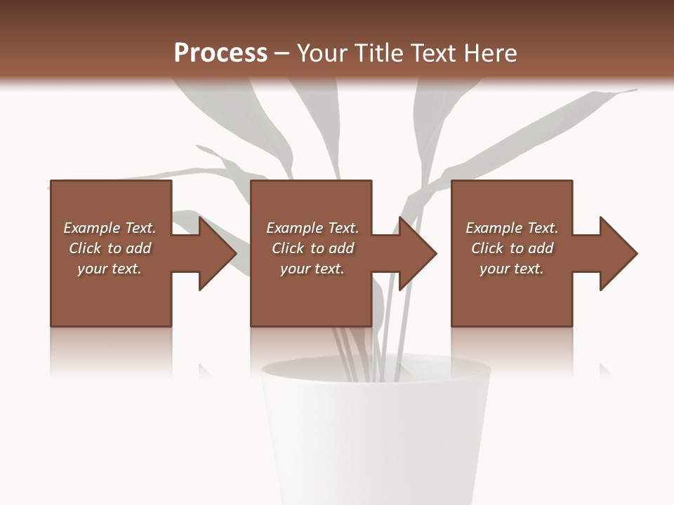 Aspidistra Elatior Aspidistra White PowerPoint Template