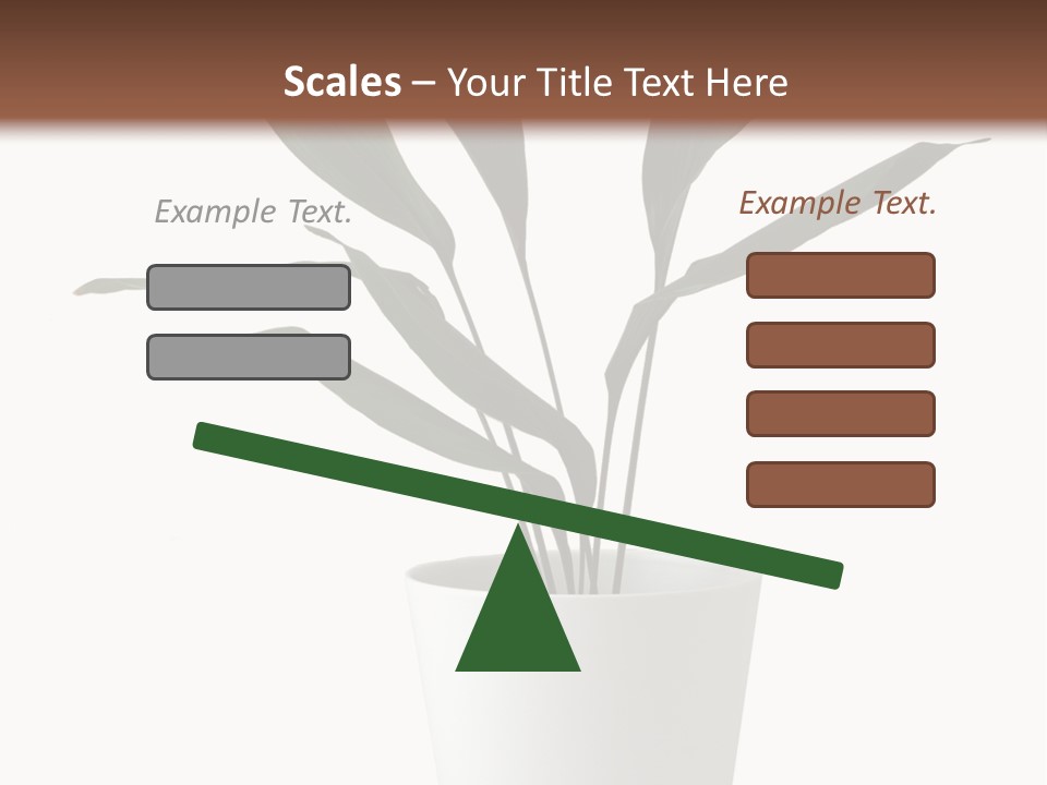 Aspidistra Elatior Aspidistra White PowerPoint Template