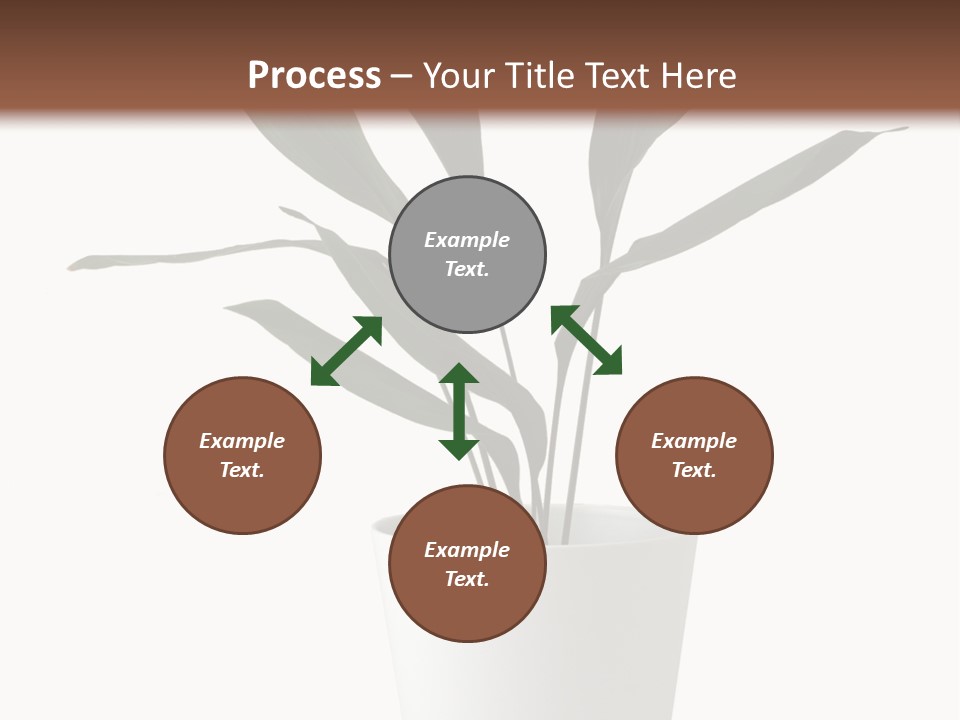 Aspidistra Elatior Aspidistra White PowerPoint Template