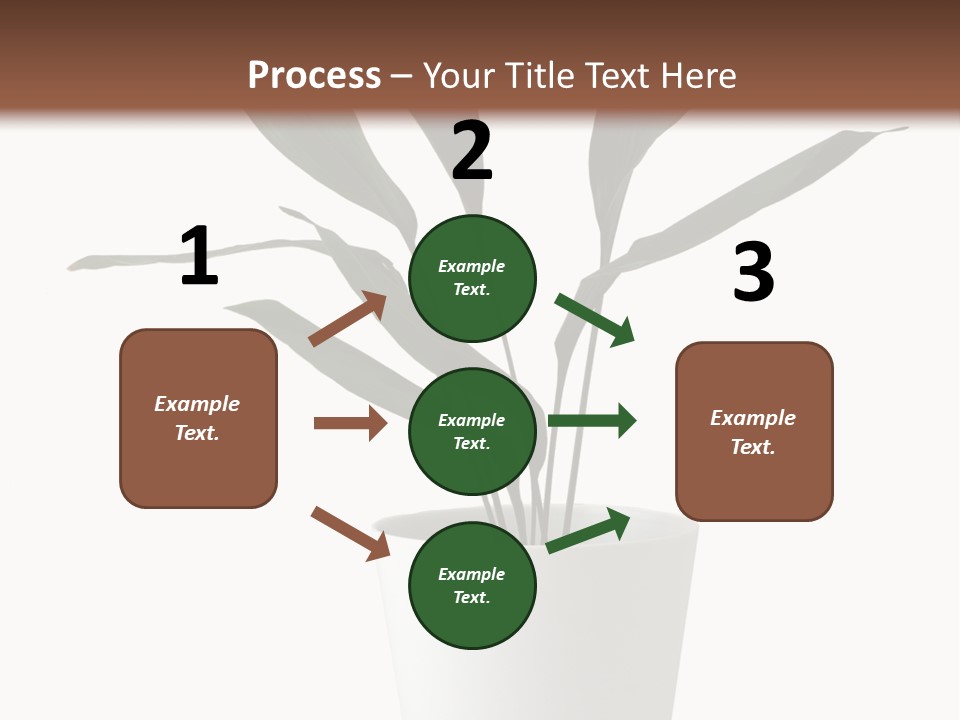 Aspidistra Elatior Aspidistra White PowerPoint Template