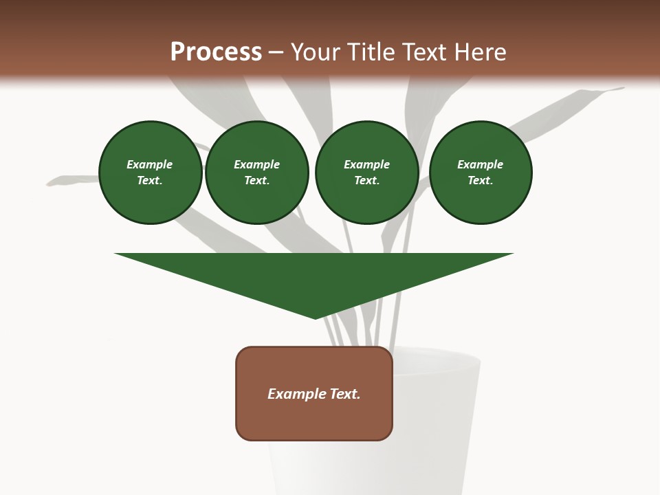 Aspidistra Elatior Aspidistra White PowerPoint Template