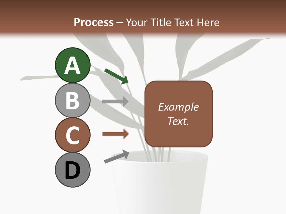 Aspidistra Elatior Aspidistra White PowerPoint Template