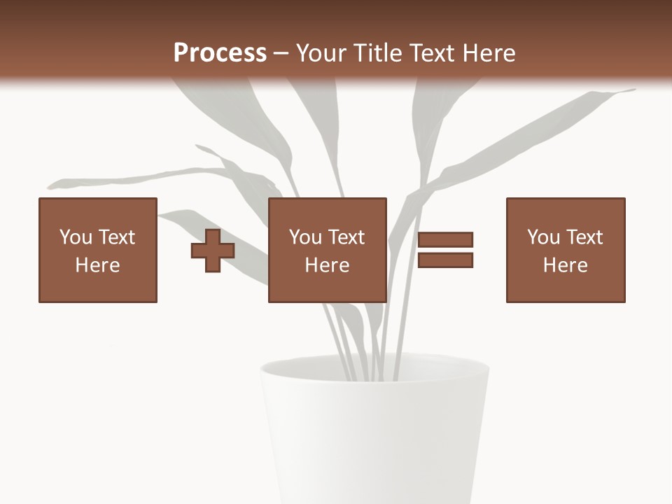 Aspidistra Elatior Aspidistra White PowerPoint Template