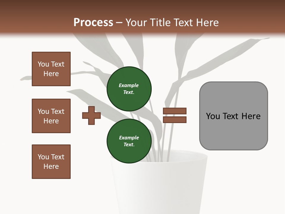 Aspidistra Elatior Aspidistra White PowerPoint Template