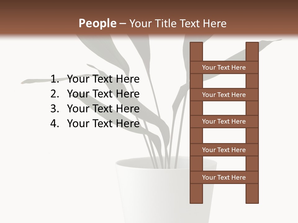 Aspidistra Elatior Aspidistra White PowerPoint Template