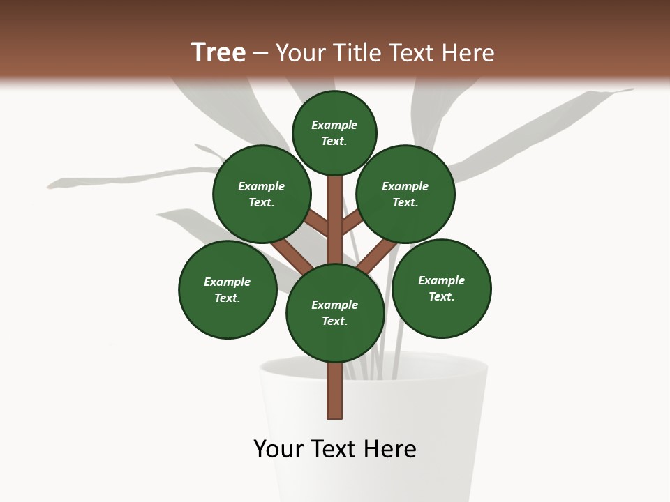 Aspidistra Elatior Aspidistra White PowerPoint Template