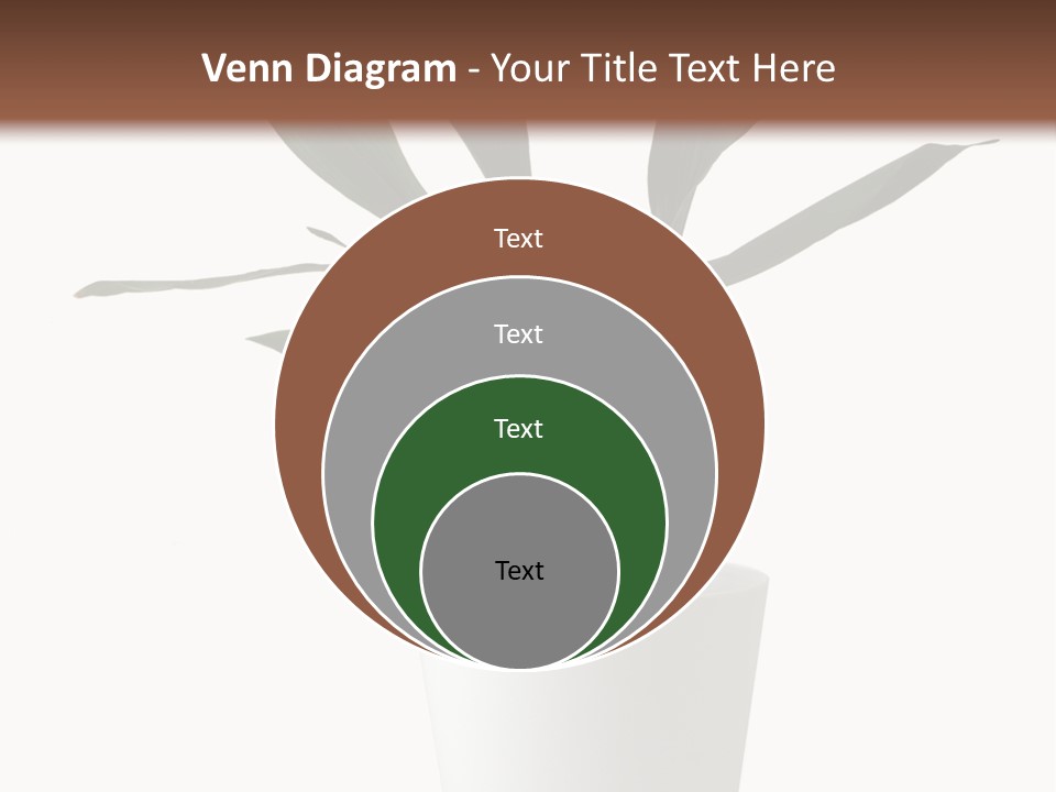 Aspidistra Elatior Aspidistra White PowerPoint Template
