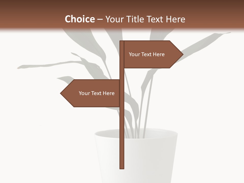 Aspidistra Elatior Aspidistra White PowerPoint Template