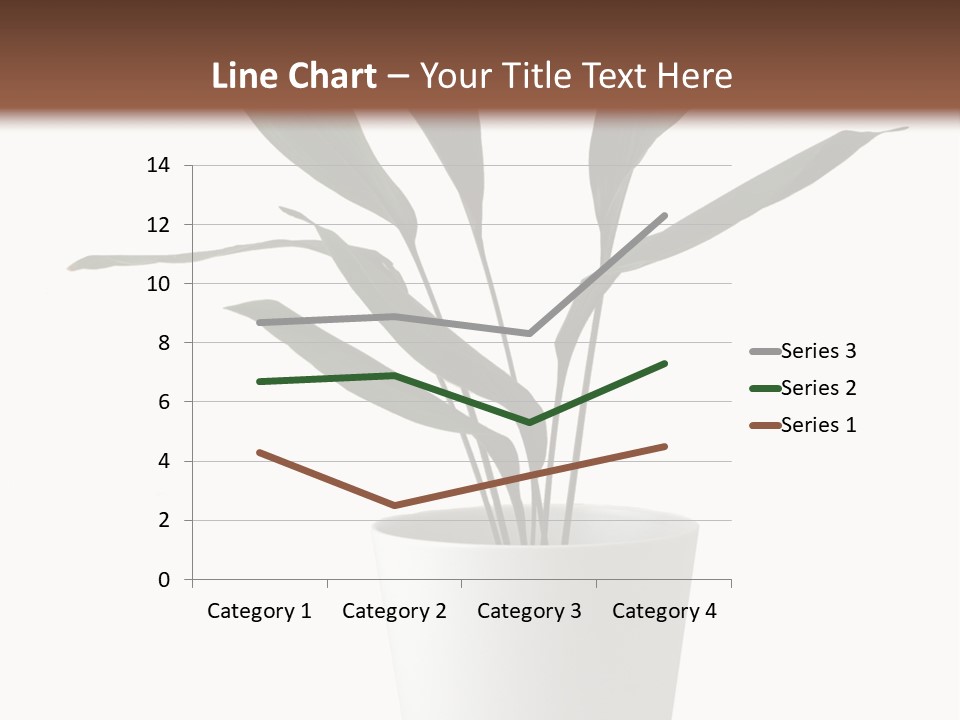 Aspidistra Elatior Aspidistra White PowerPoint Template
