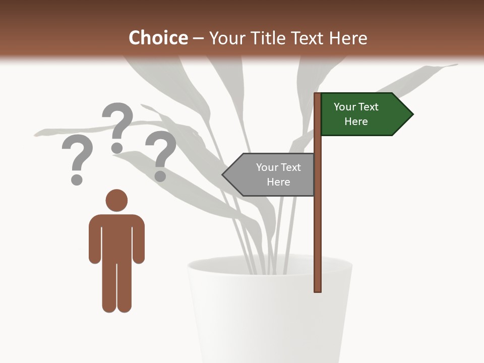 Aspidistra Elatior Aspidistra White PowerPoint Template