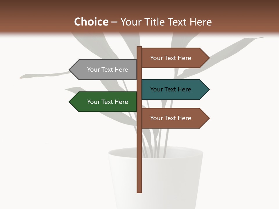 Aspidistra Elatior Aspidistra White PowerPoint Template