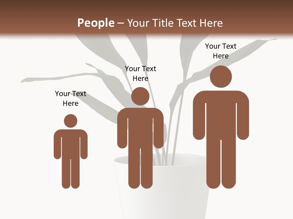 Aspidistra Elatior Aspidistra White PowerPoint Template