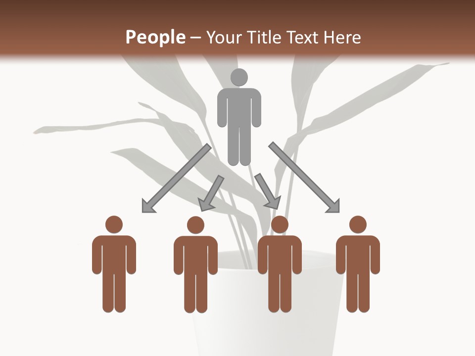 Aspidistra Elatior Aspidistra White PowerPoint Template