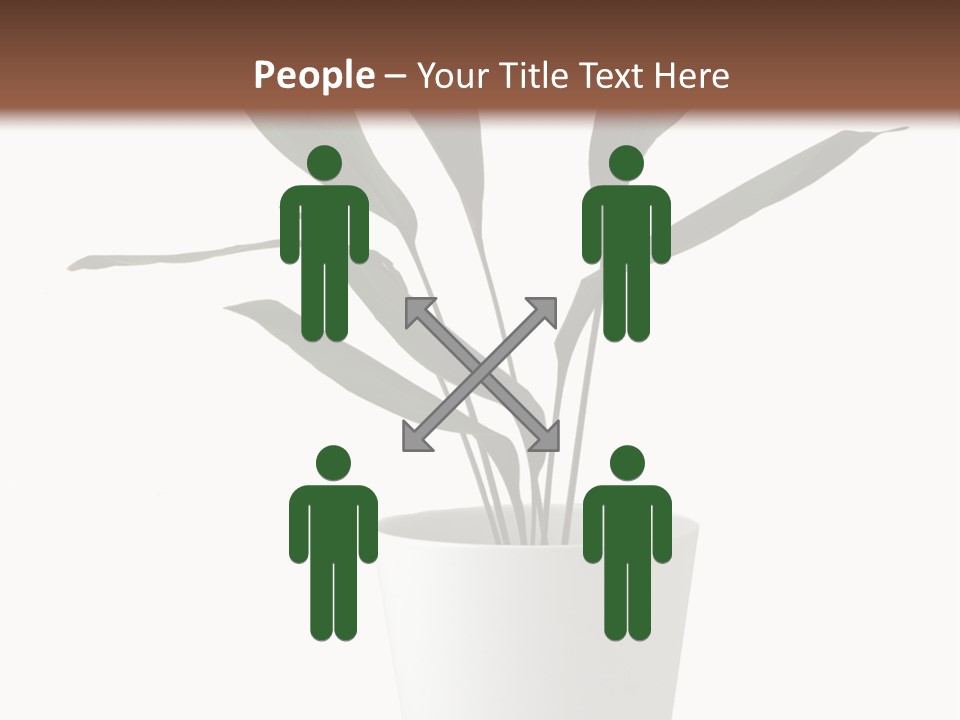 Aspidistra Elatior Aspidistra White PowerPoint Template