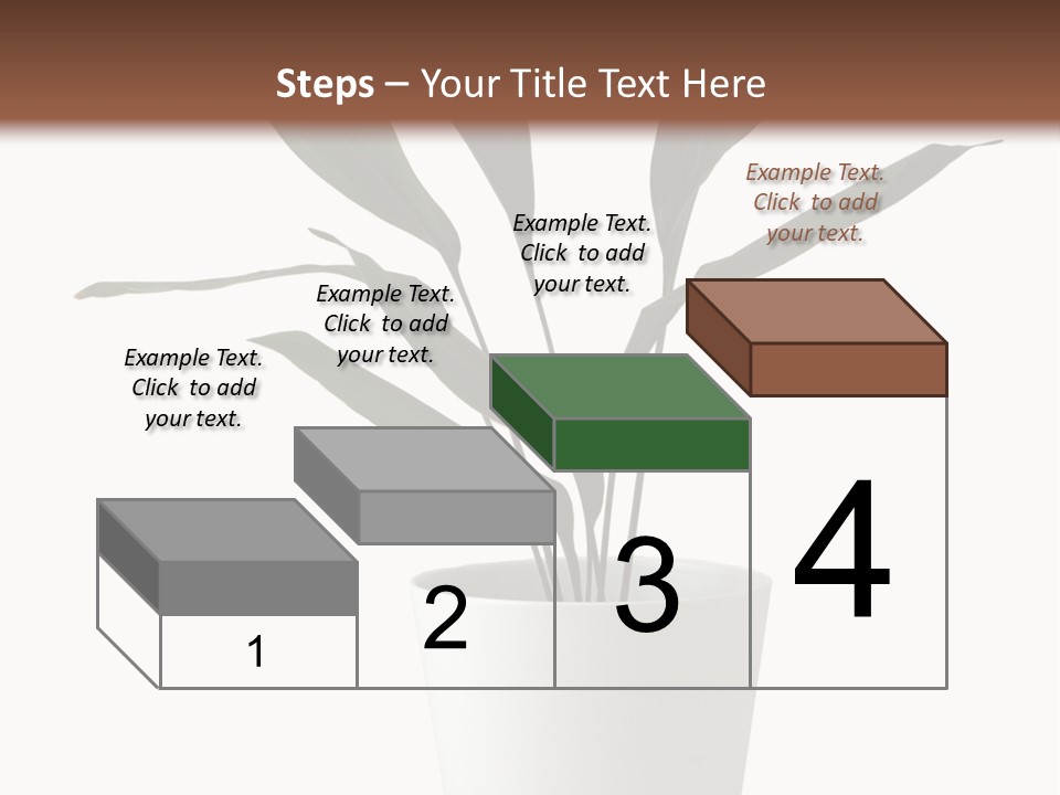 Aspidistra Elatior Aspidistra White PowerPoint Template