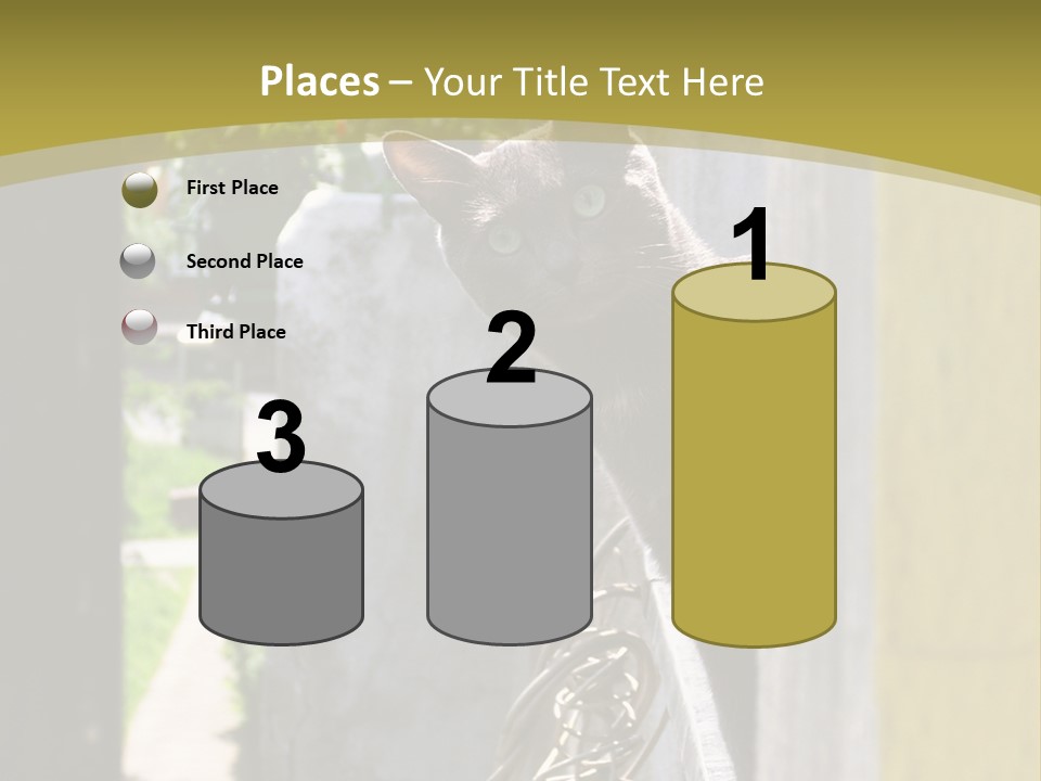 House Floral Cat PowerPoint Template